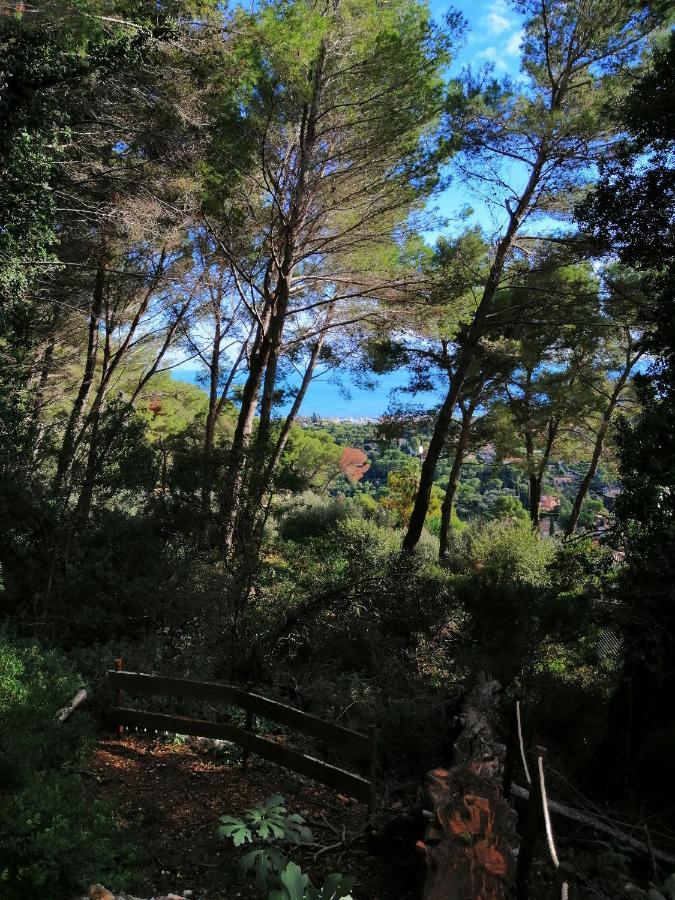 Cabane Azur Mountain Vallauris Ngoại thất bức ảnh